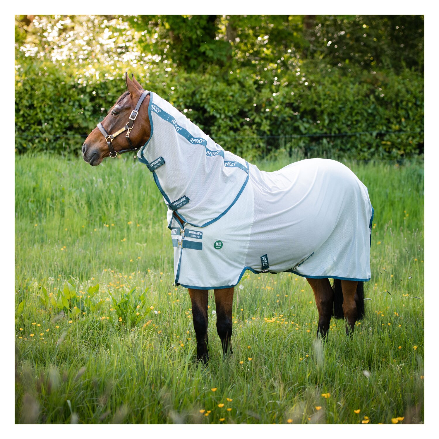 HORSEWARE Fliegendecke AMIGO AmECO Bug Rug - silver/teal