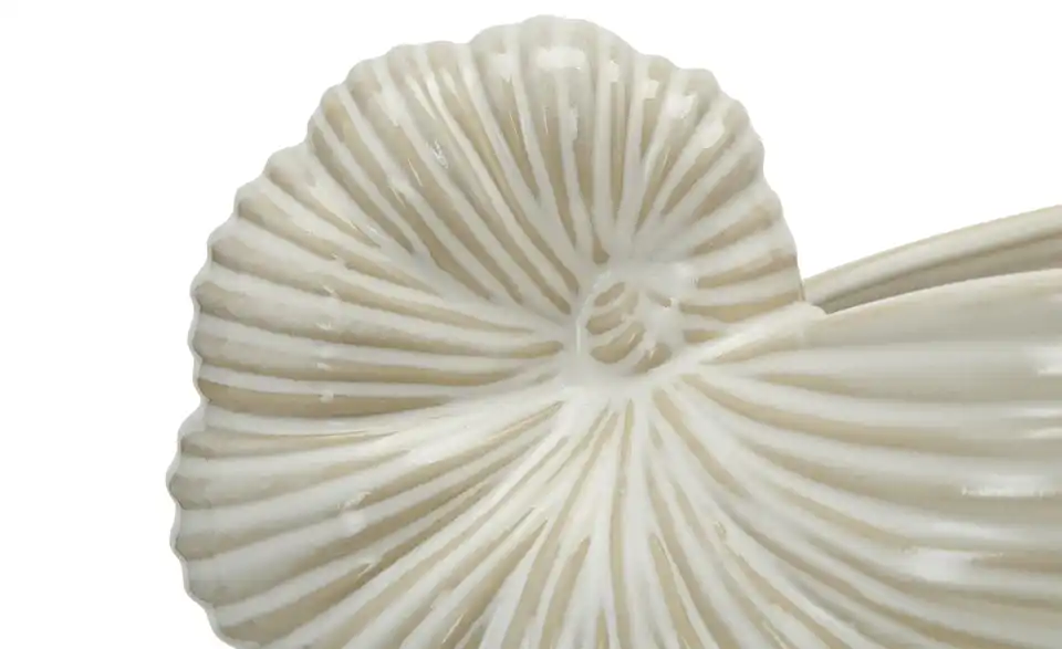 Deko Schale Muschel 20,5 cm
