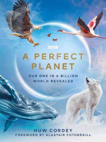 A Perfect Planet (Hardback)