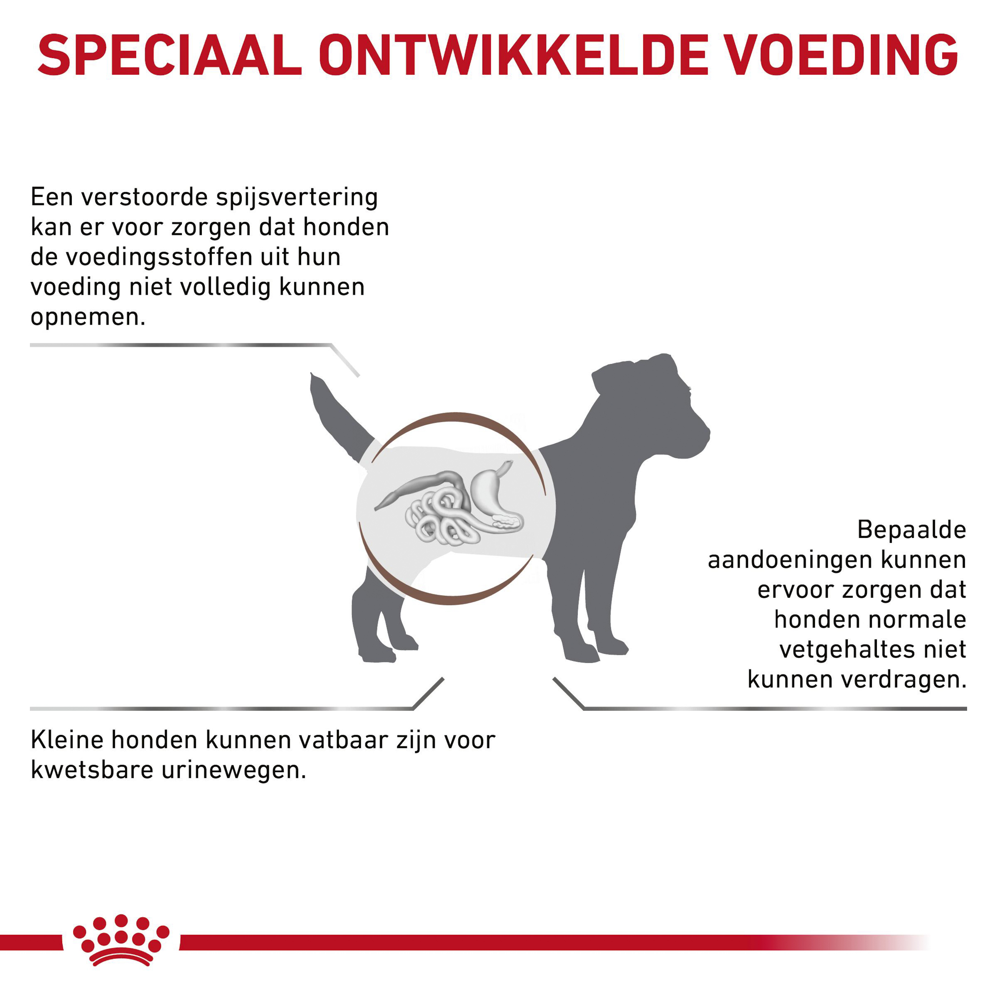 Royal Canin Gastrointestinal Low Fat Kleine Hond
