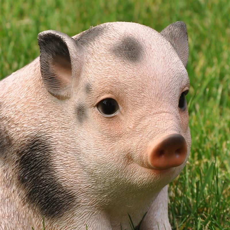 Dazikemo Dekofigur Gartenfigur Schwein / Ferkel