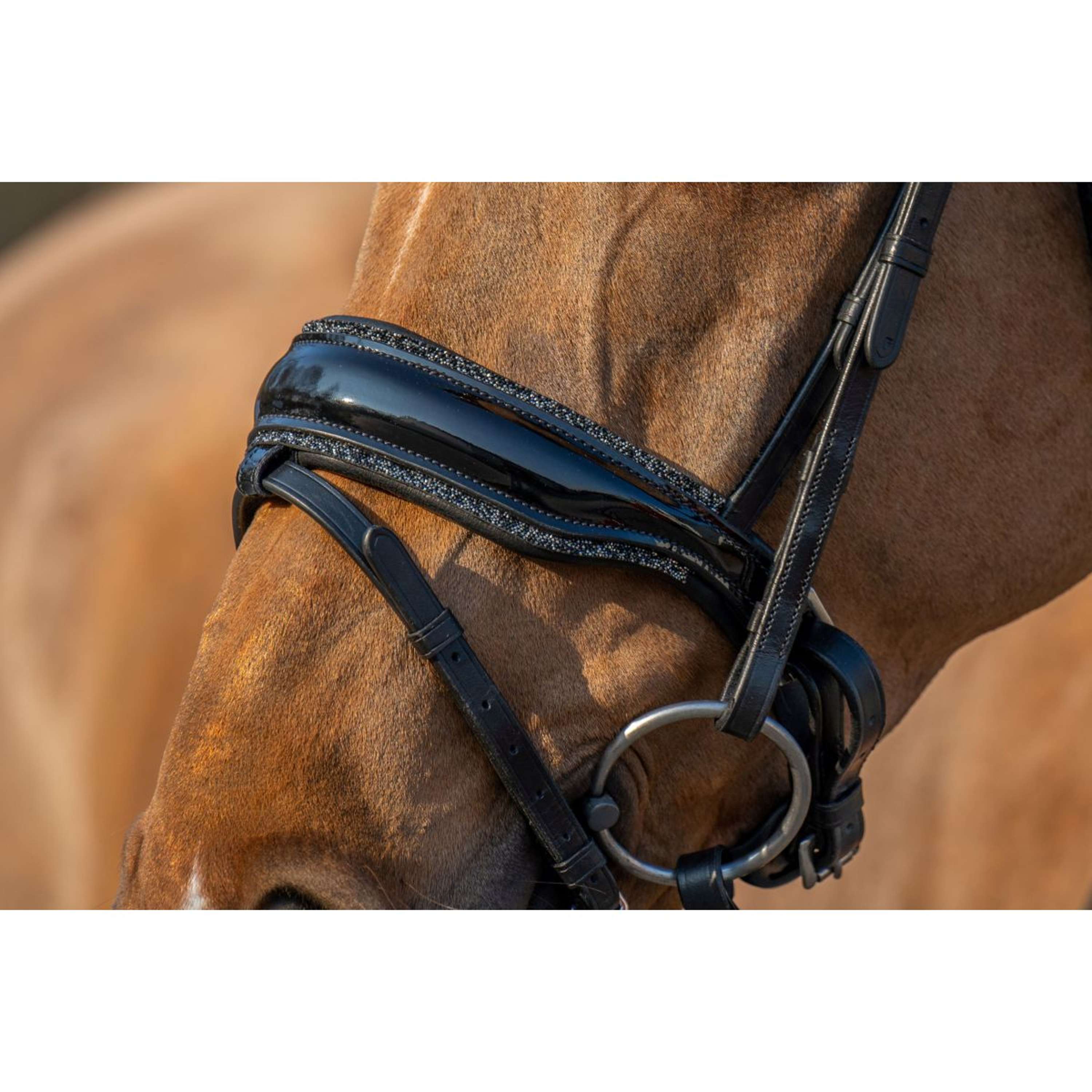 HB Anatomische neusriem Rocky Glitter/Zwart