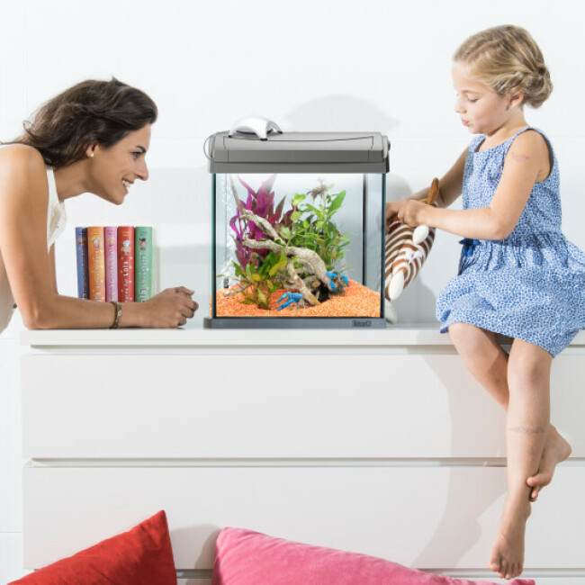 Pompe à air Tetra APS blanche pour aquarium