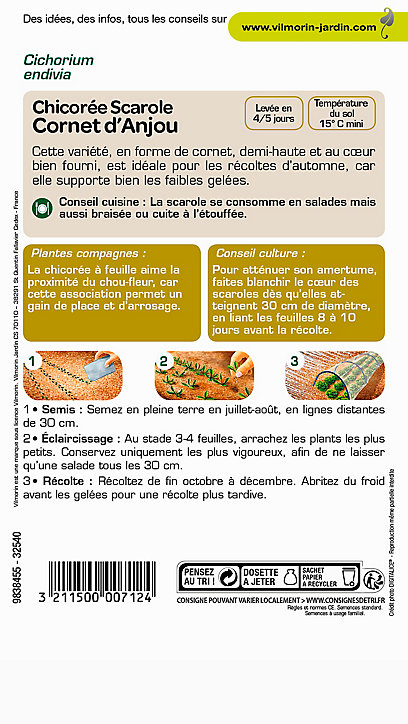 Graines de Chicorée Scarole Cornet d'Anjou