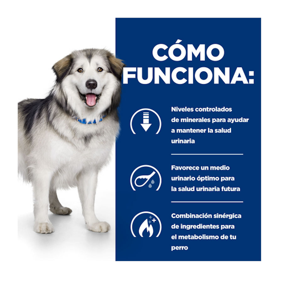 Ração Hill's Prescription Diet Urinary + Metabolic c/d para cães