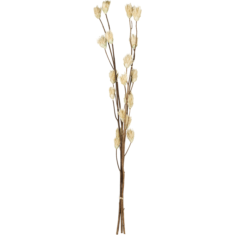 EGLO Trockenblume Senneterre, 100 cm, grün