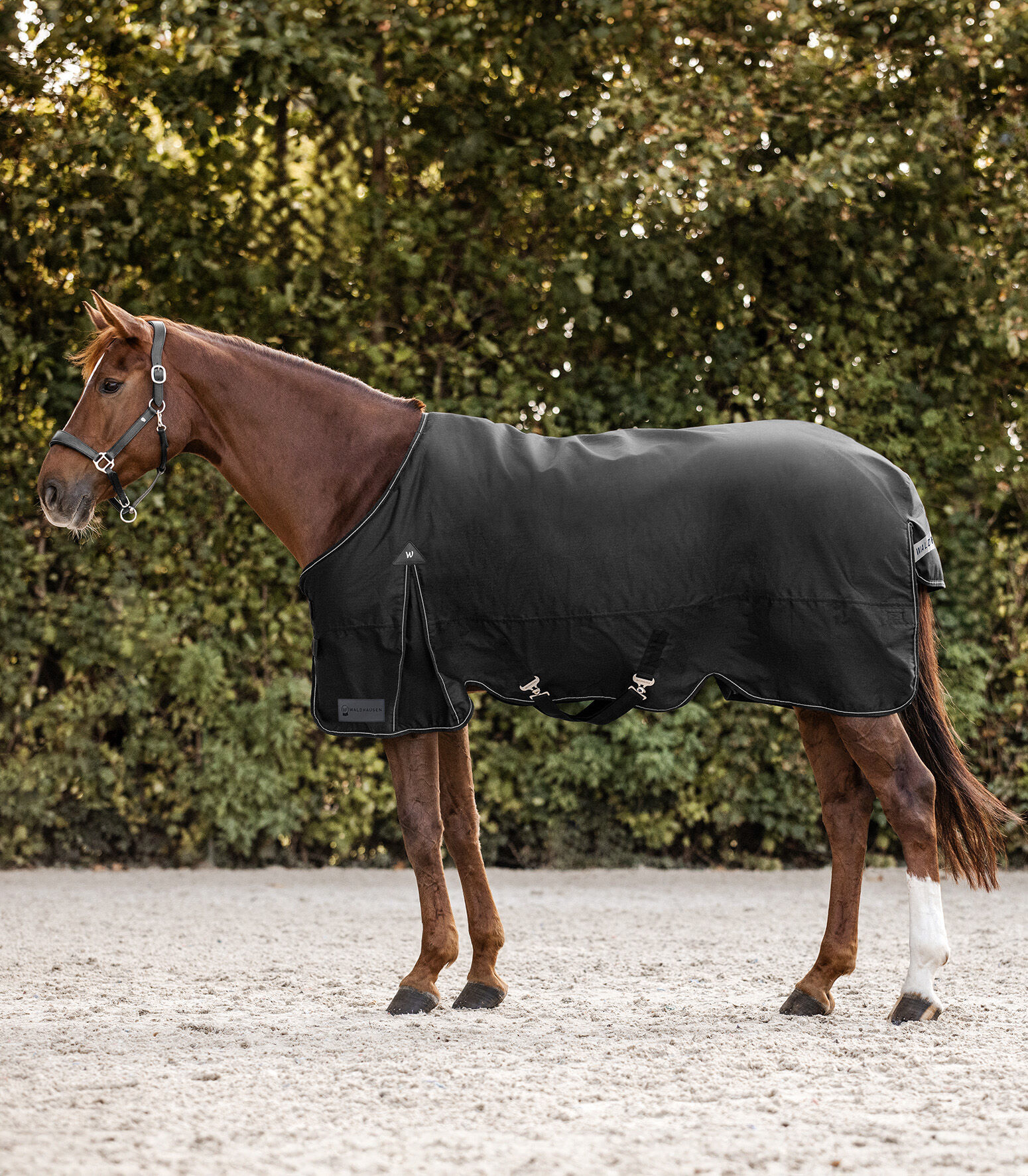 Waldhausen Arctic 100 gr - Winterdeken - Paardendeken - Zwart - 145/195
