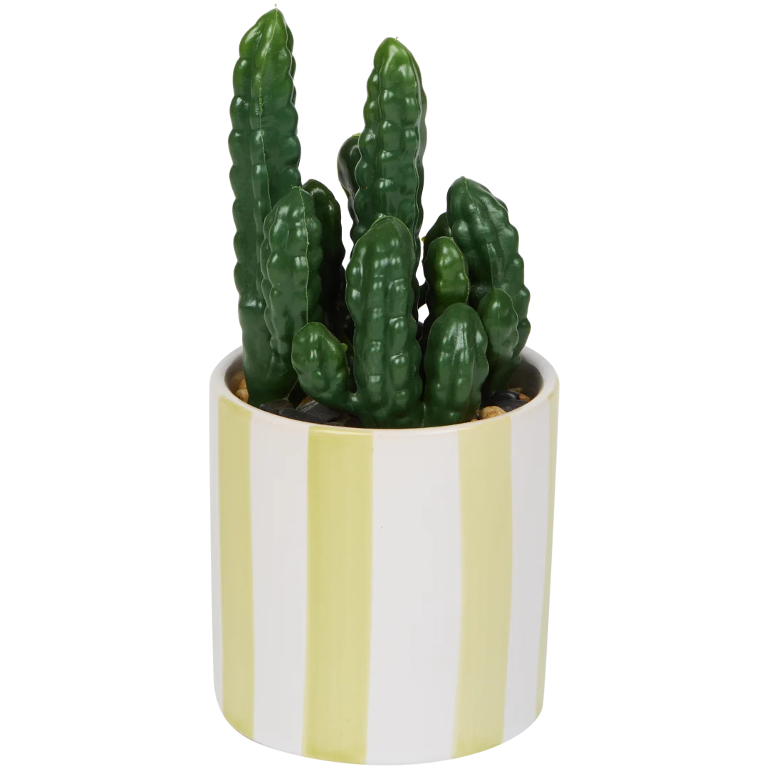 Plante grasse artificielle en pot