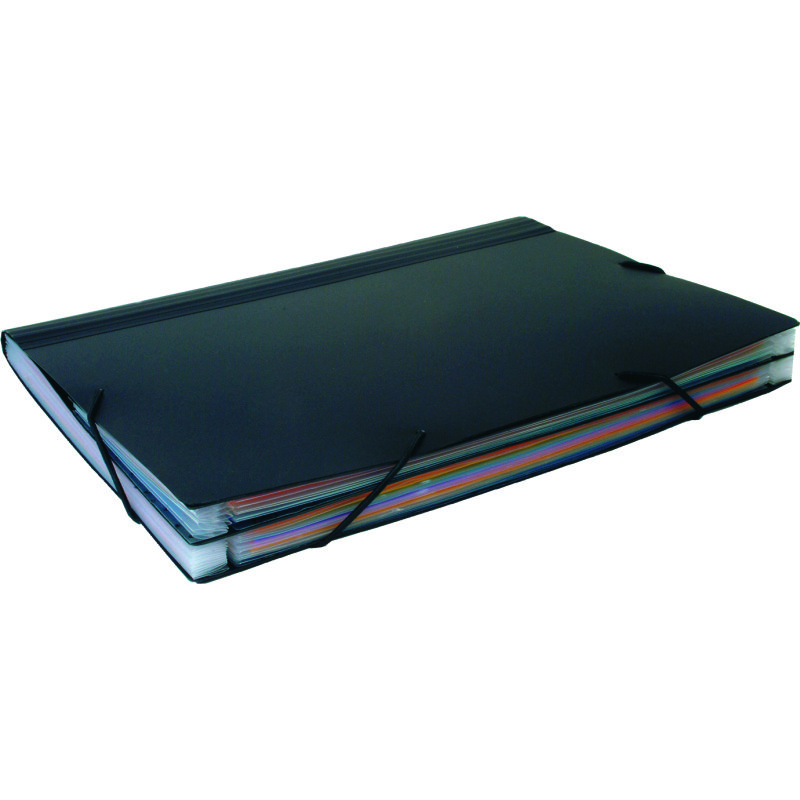 Trieur extensible plastique 18 positions Rainbow Class Viquel