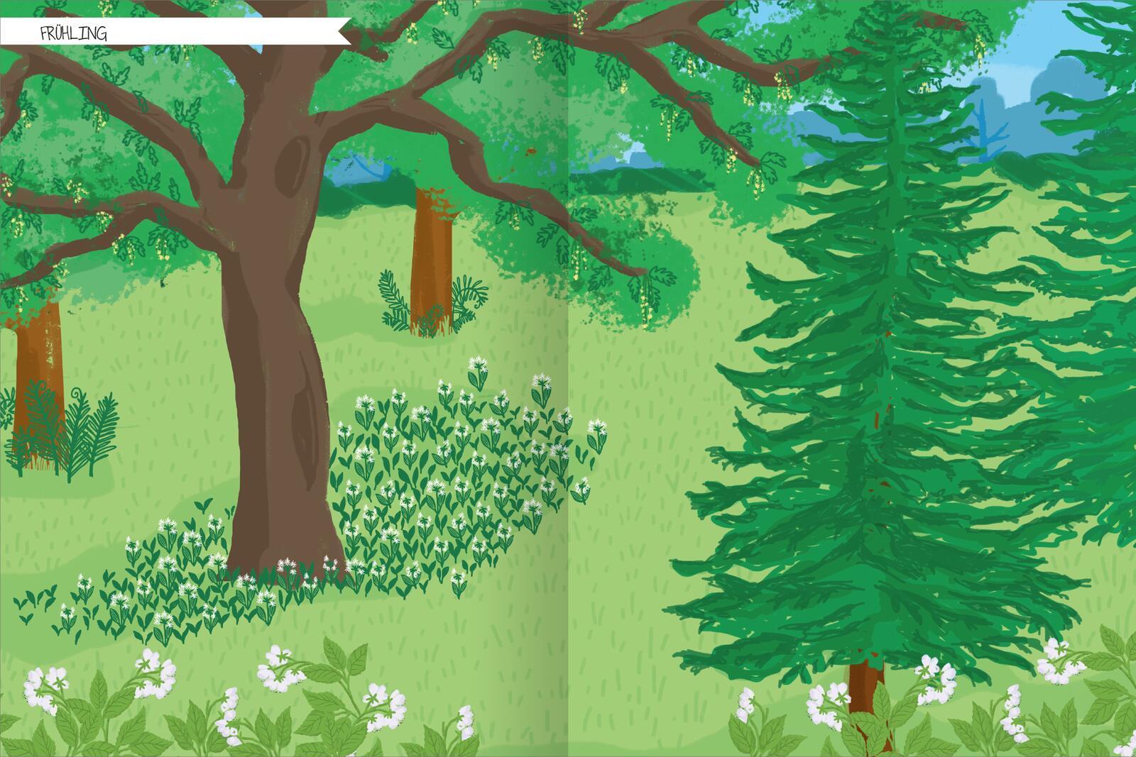 Naturforscher-Kids - Stickerheft Im Wald