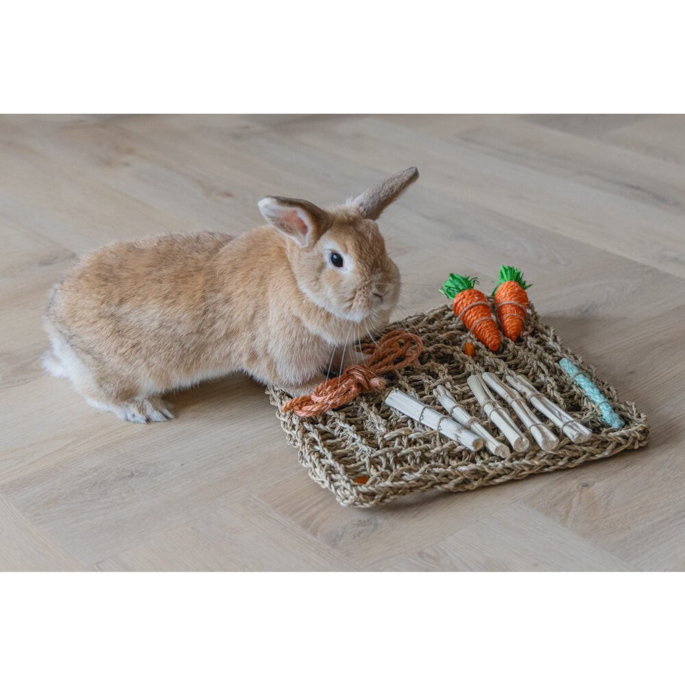 Beeztees Knaagdieren Speelmat