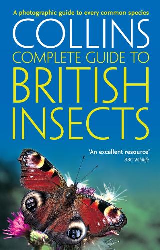 British Insects: A Photographic Guide to Every Common Species - Collins Complete Guide (Paperback)