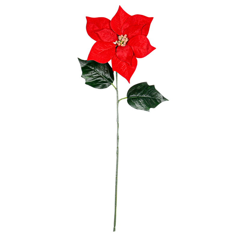 Tige 'Poinsettia' rouge