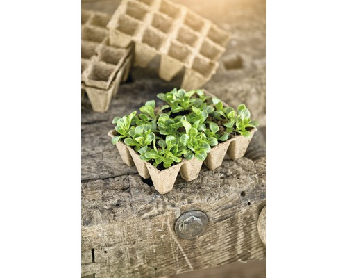 FloraSelf zaailingpotten 4x4x5 cm, 8 planttrays x 6 plantopties = 48 zaailingpotten