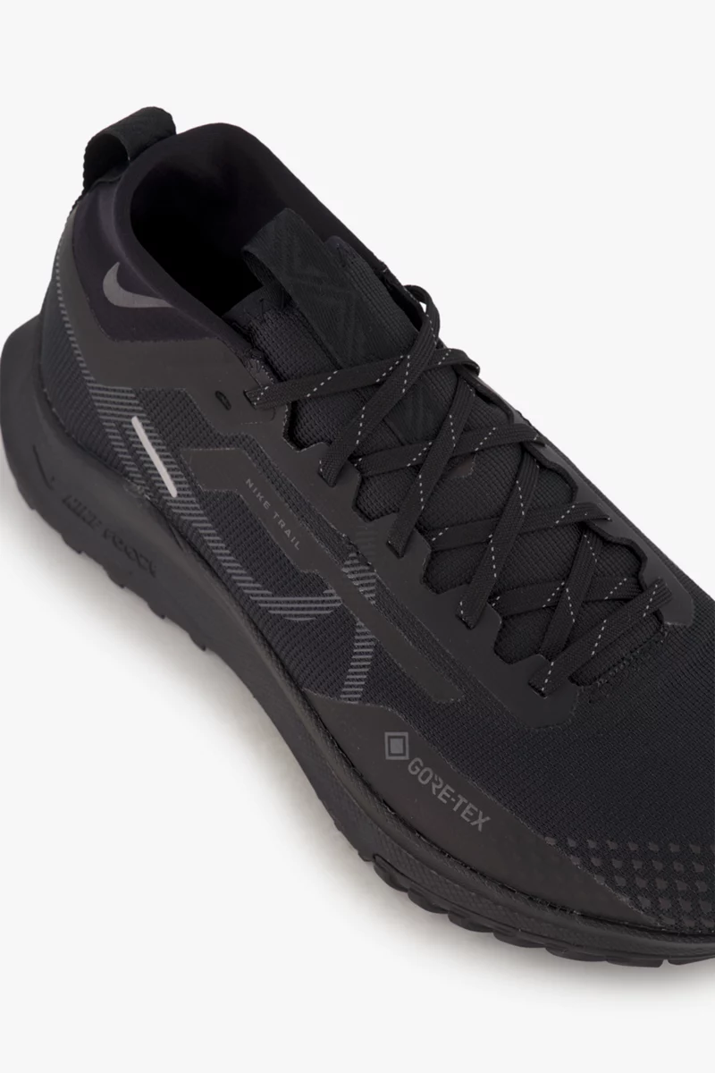 Nike Pegasus Trail 4 Gore-Tex® Herren Trailrunningschuh