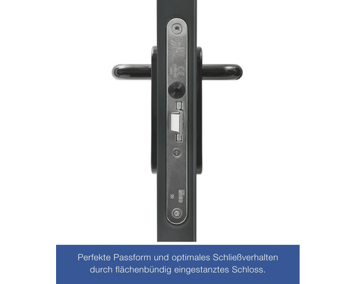Hörmann multifunctionele kelderdeur T30 H8-5 RAL 7016 antracietgrijs 875x2000 mm omkeerbaar links/rechts