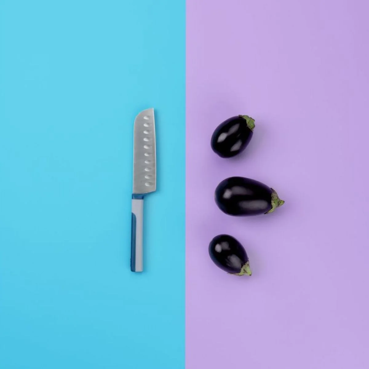 Petit couteau Santoku 24,5 cm Core
