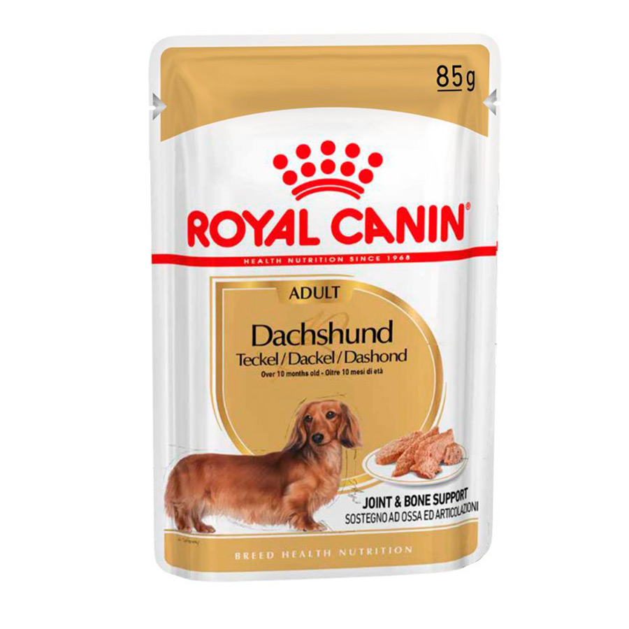 Sachê de patê Royal Canin para Dachshunds