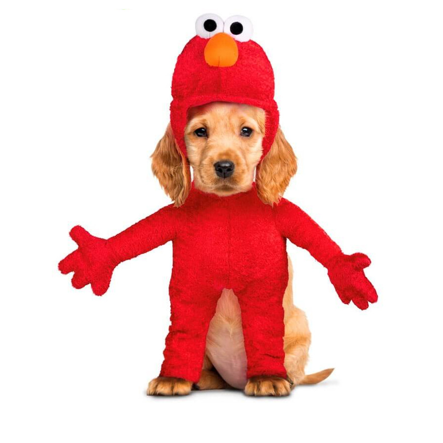 Fantasia do Elmo para cães