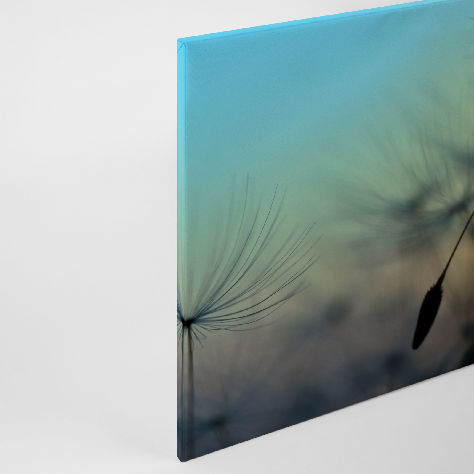 Leinwandbild PUSTEBLUME - blau-gelb - 90x60 cm
