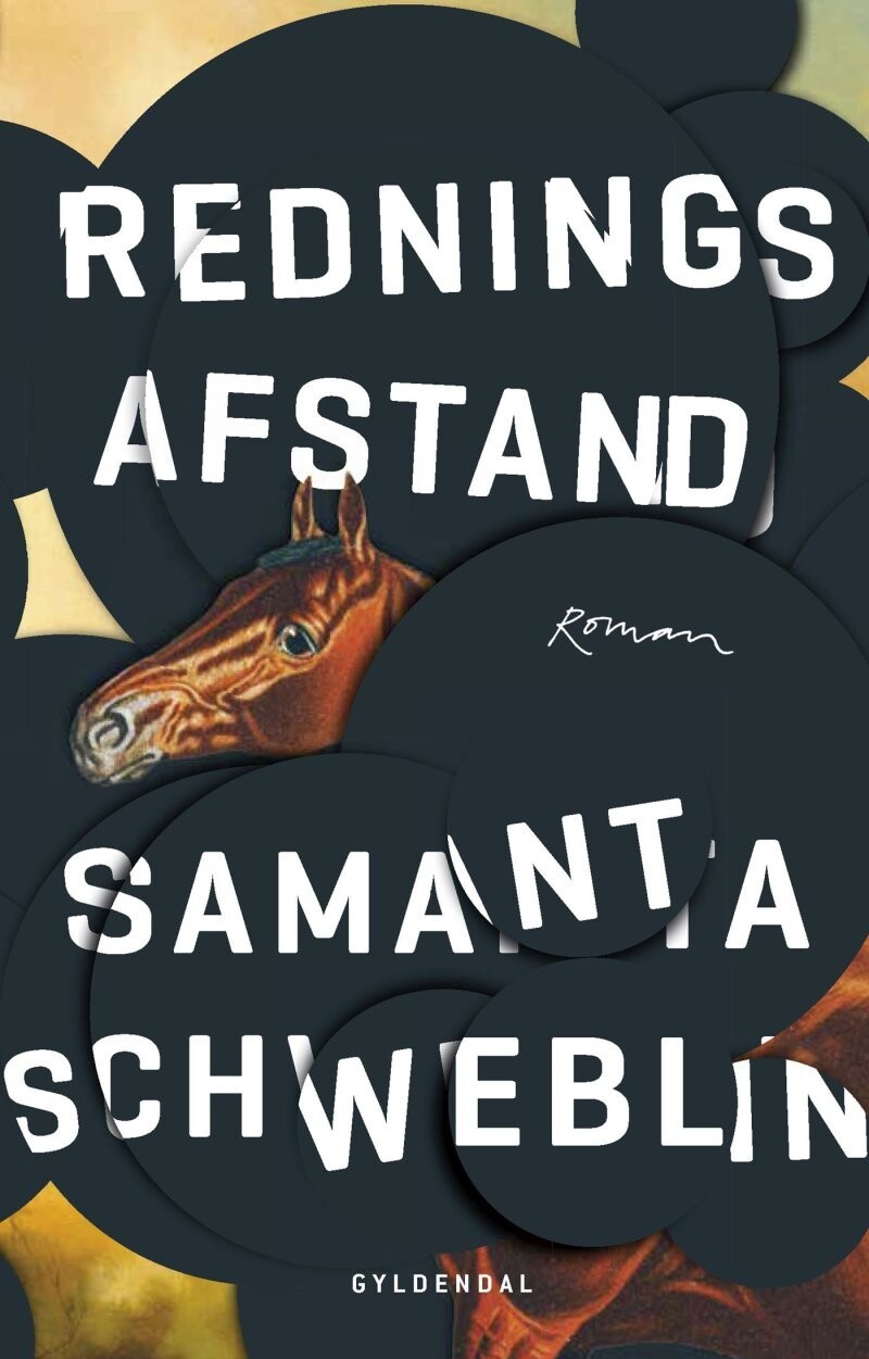Redningsafstand - Samanta Schweblin - Bog