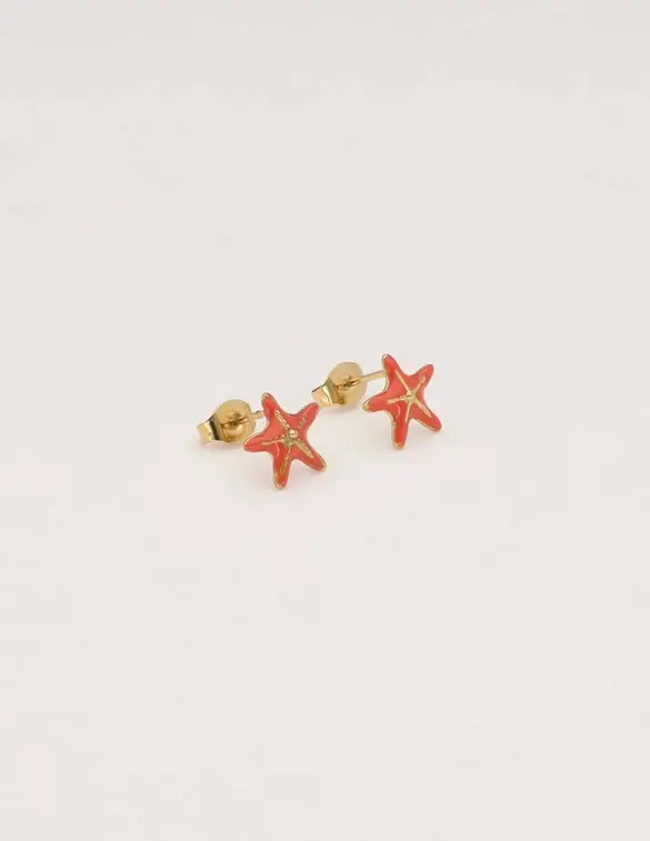 My Jewellery Studs zeester MJ10293