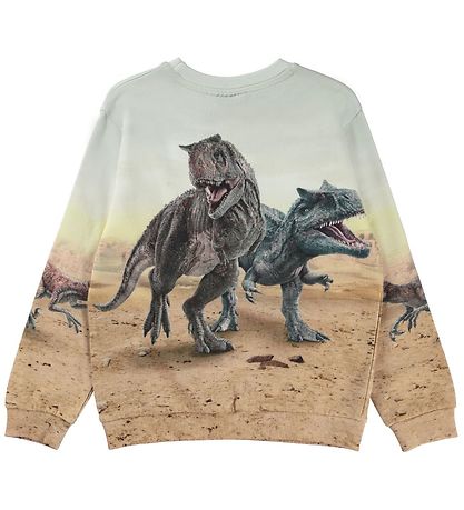 Molo Sweatshirt - Miksi - Dinos in Hülle und Fülle