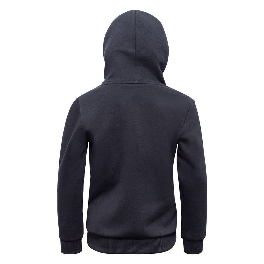 PUMA Sweat à Capuche Nordics Blank - Noir/Cool Dark Gray Enfant