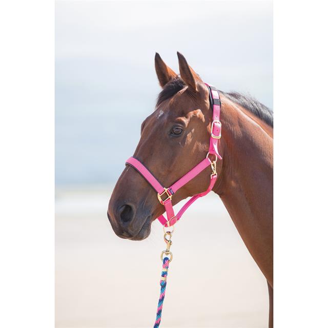 Halster Shires Nylon Topaz Roze