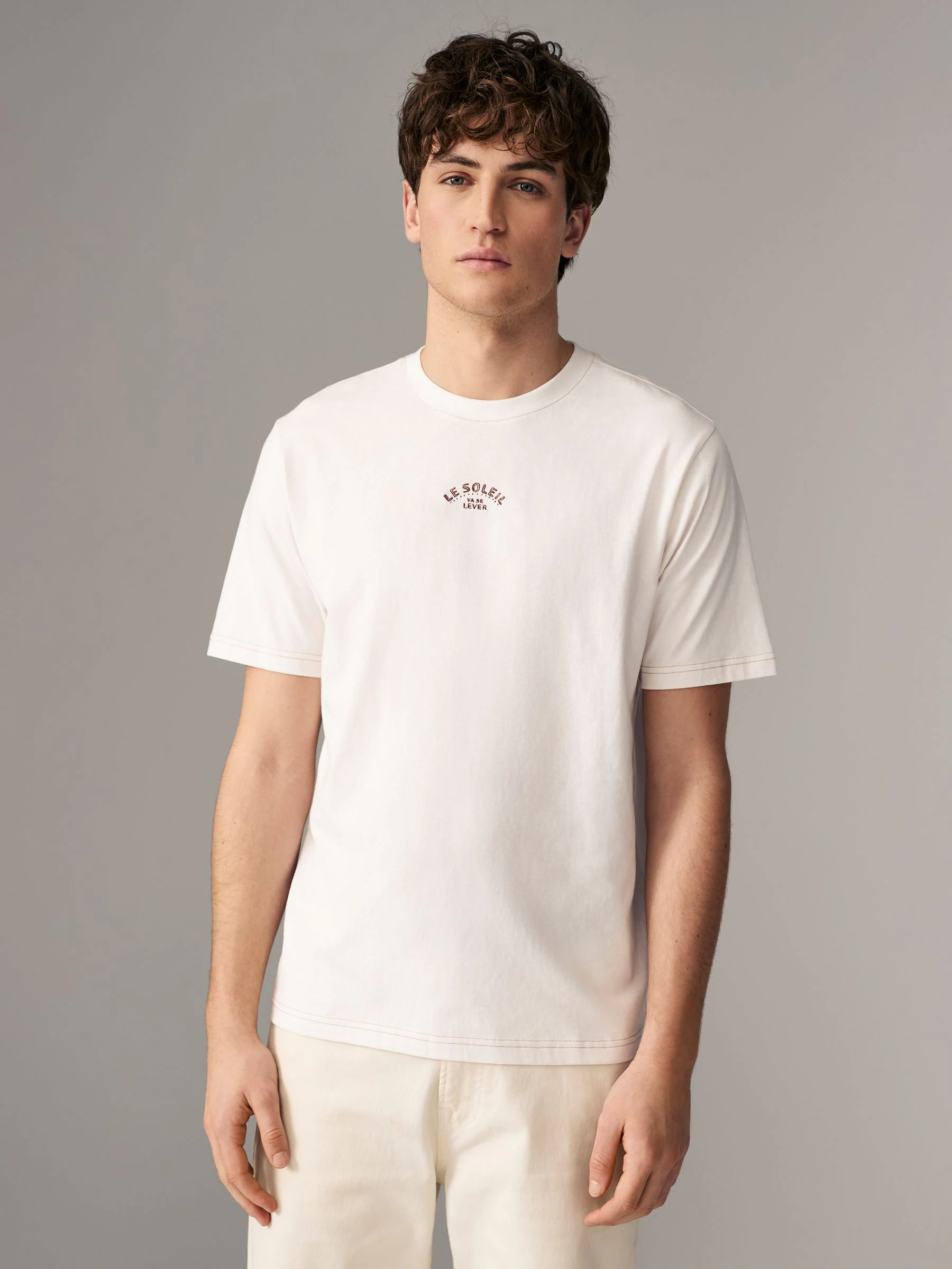 Wit/blauw/bruin - Normale Pasvorm - Set van 3 T-shirts met print