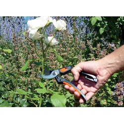 Sécateur de jardin Garten Primus