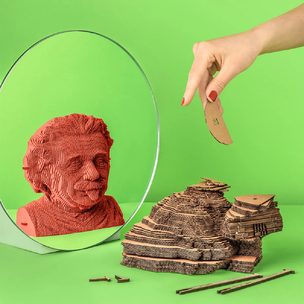Puzzle 3D Albert Einstein