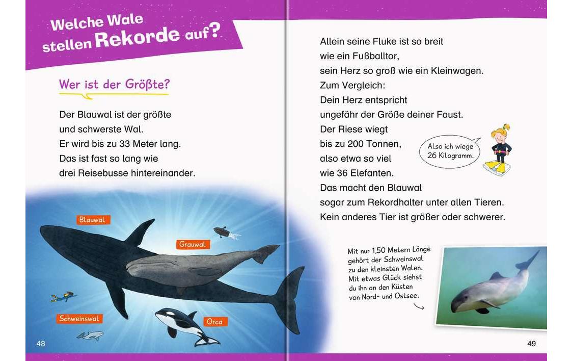 Kinder-Sachbuch WWW Erstleser: Wale und Delfine Band 3Spielerisch lesen lernen