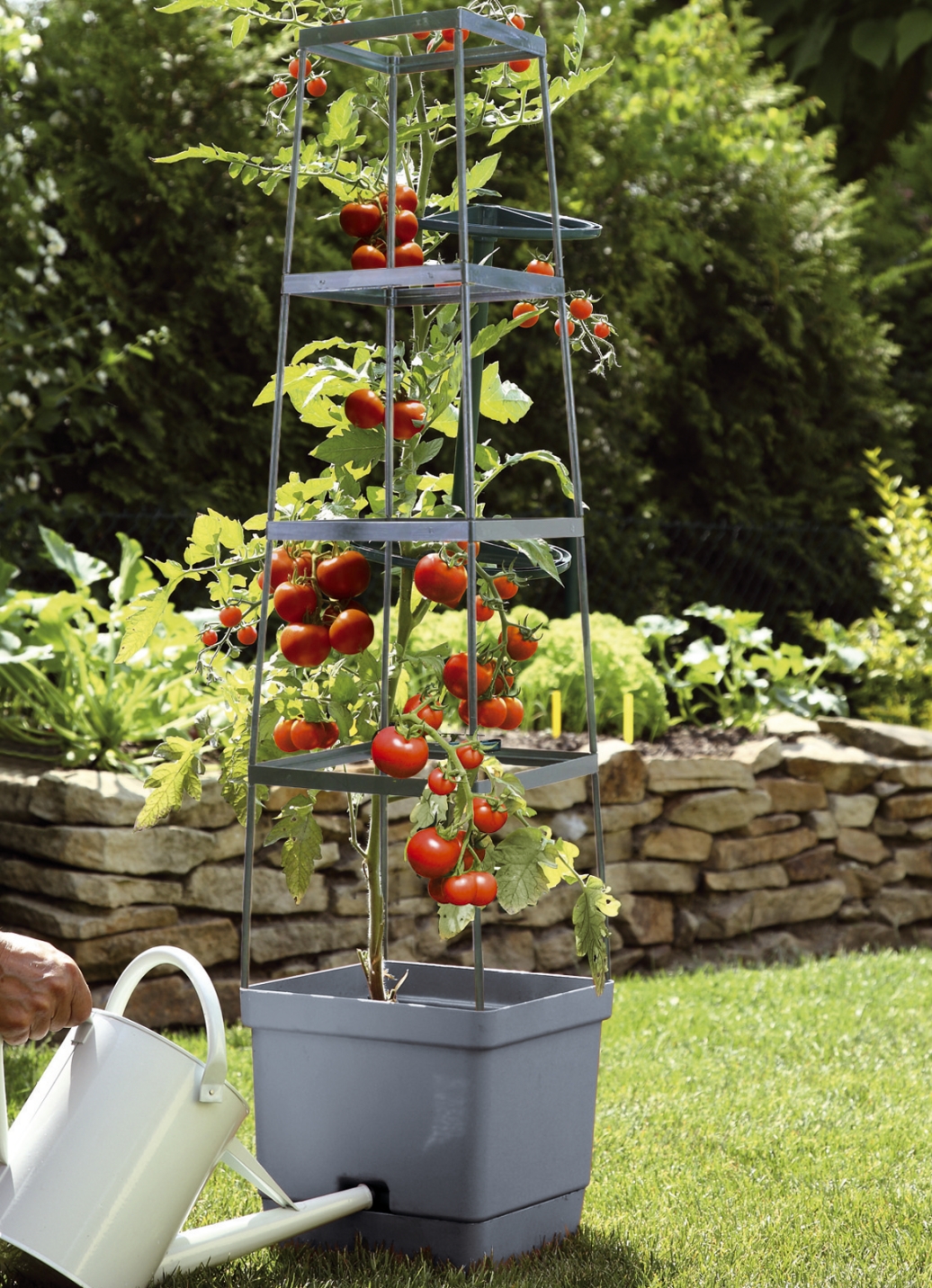 MAXITOM Tomaten-Rankhilfe Komplett-Set