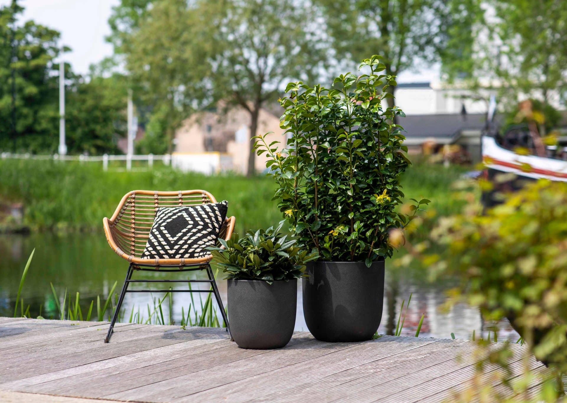 Capi Europe - Pot bol Smooth NL - 35x34 - Beige