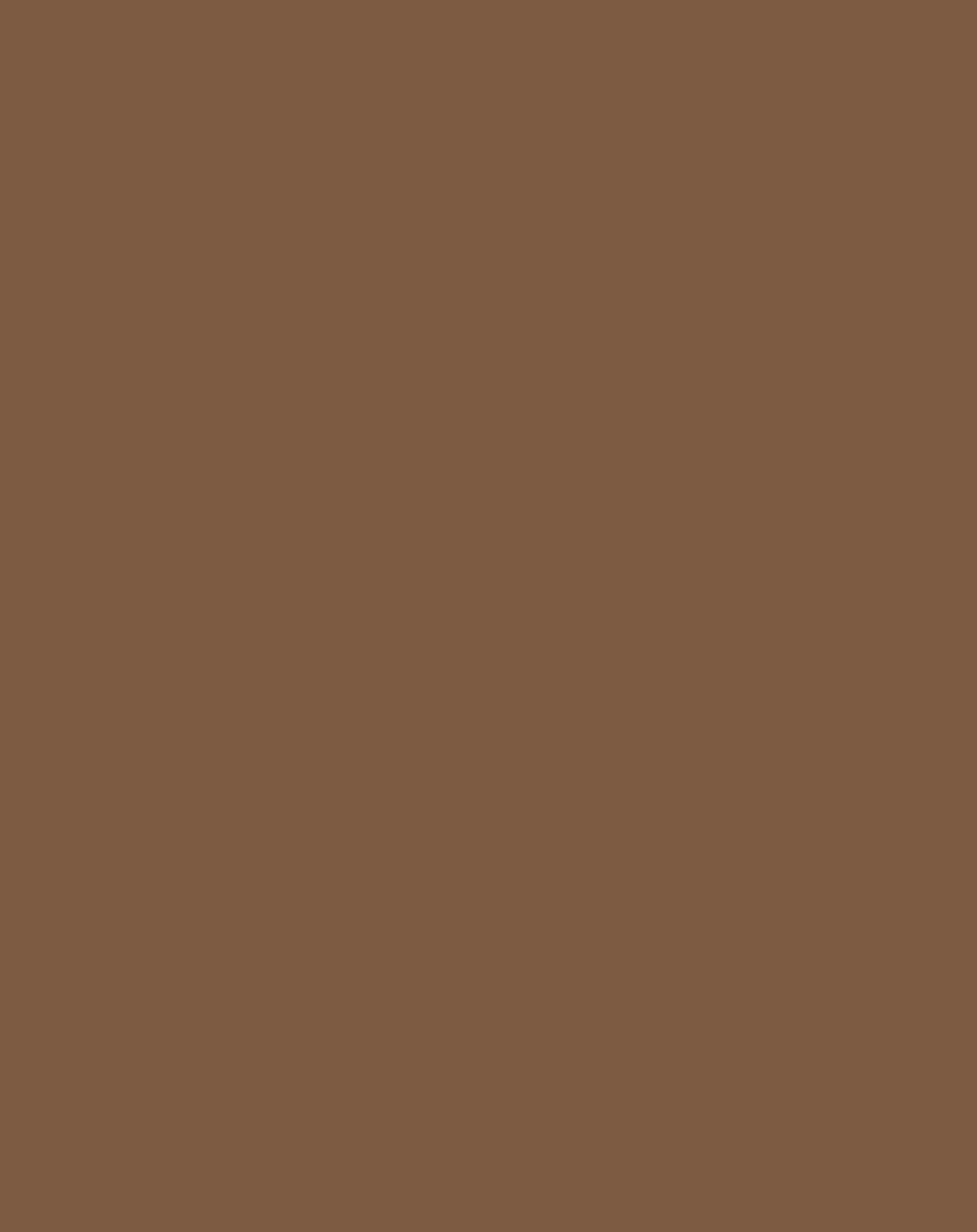 Gummistiefel BASIC RUBBER in brown jaguar
