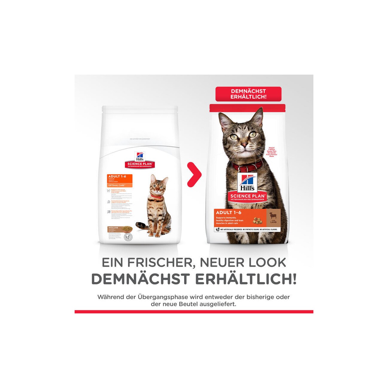 Hill's Science Plan Adult Lamm und Reis 1,5 kg