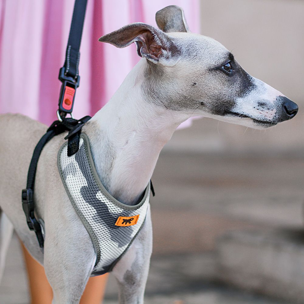 Harnais pour chiens nikita fashion m respirant, rembourré et ajustable