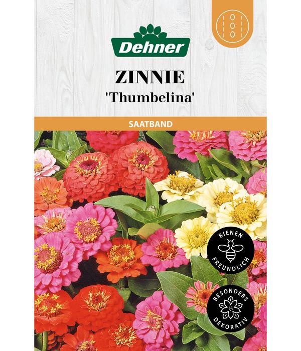 Dehner Saatband Zinnie 'Thumbelina', L5 m