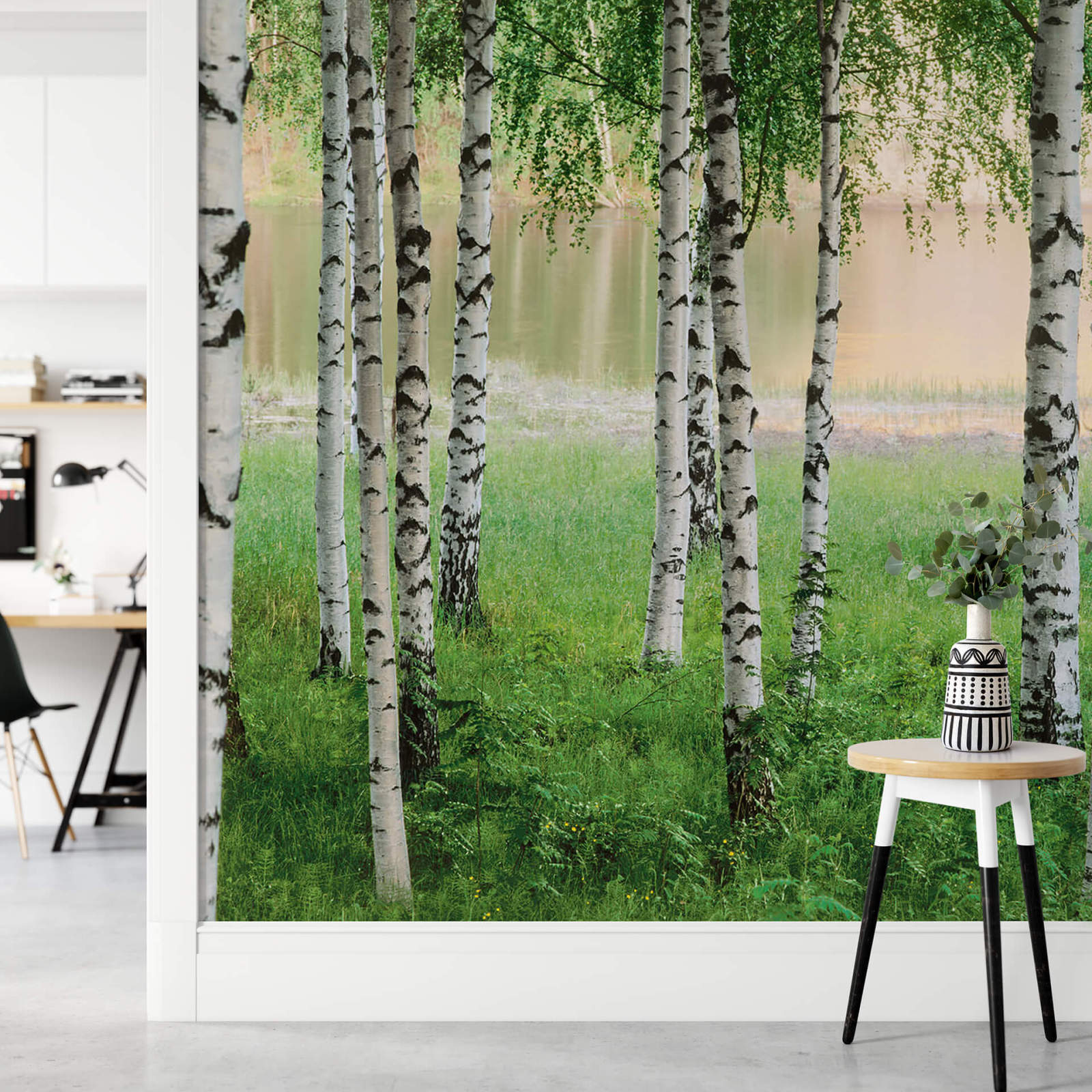 Fototapete DESIGNWALLS 2.0 - grün-weiß - Birkenwald - 2,5 Meter