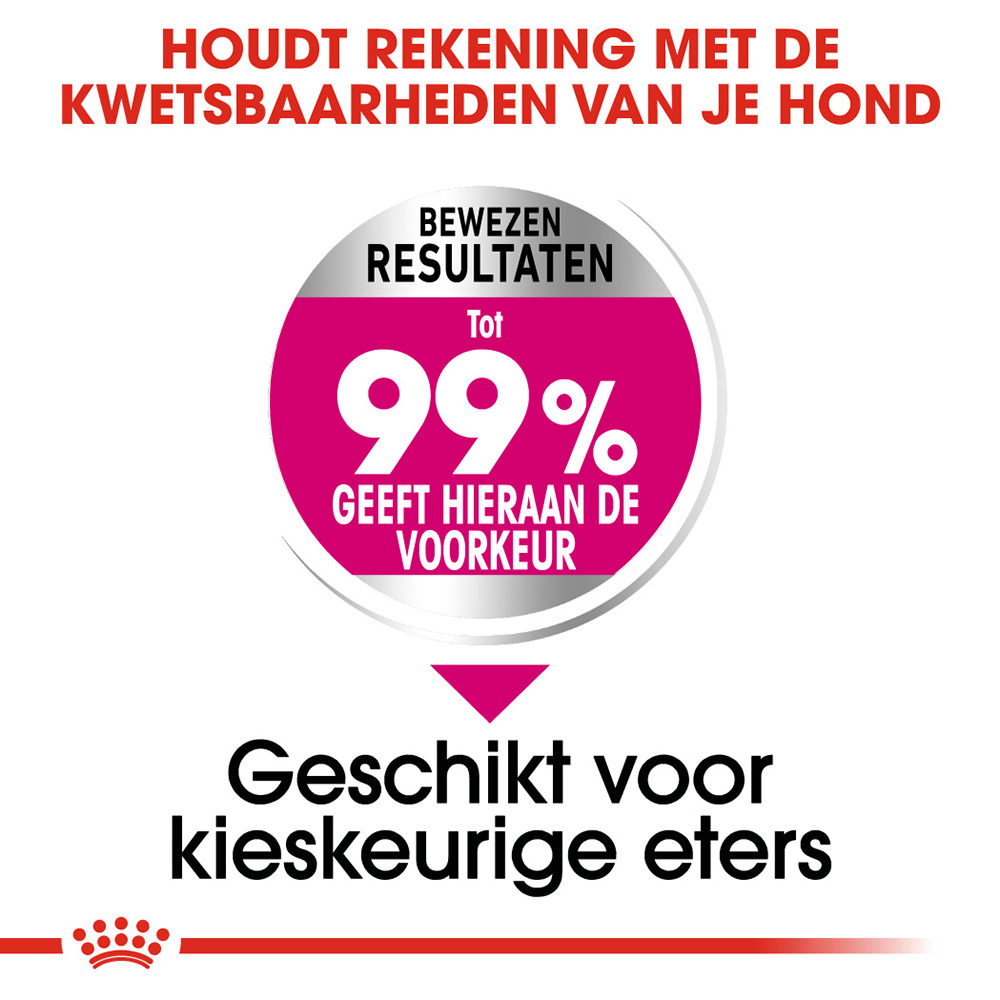 Royal Canin Mini Exigent - Hondenvoer