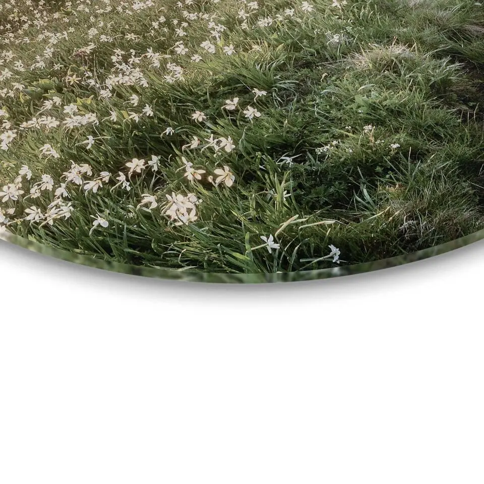 Glasschilderij Bergbloei in de ochtendzon - Ø 70cm - Groen