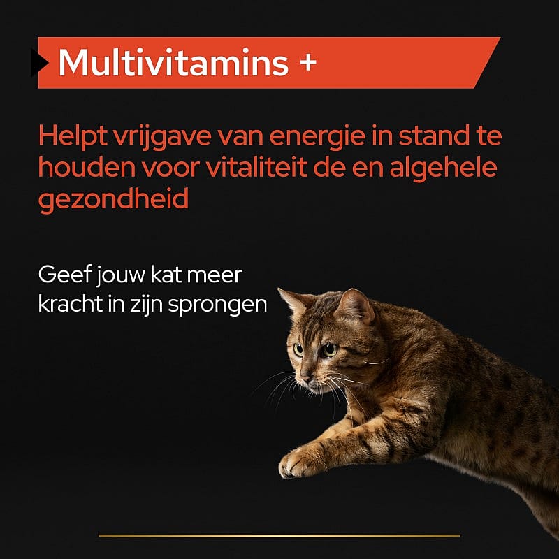 Purina Pro Plan Multivitamins+ Supplement Kat 60 gram | 13193