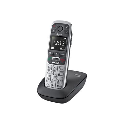 Gigaset E560 - téléphone sans fil - argent