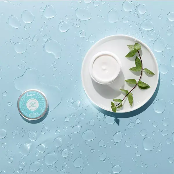 Polaar Aux Sources des Glaciers Crème Hydratante à l'Eau d'Iceberg 50ml