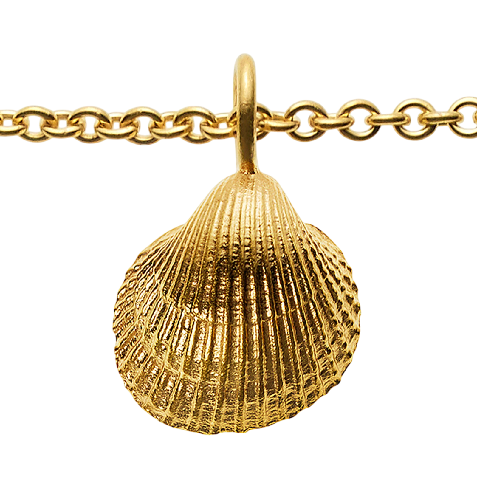 Collier 50cm vergoldet mit Muschel Anhänger