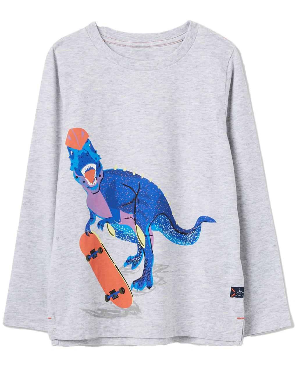 Langarmshirt FINLAY SKATEBOARD in grau
