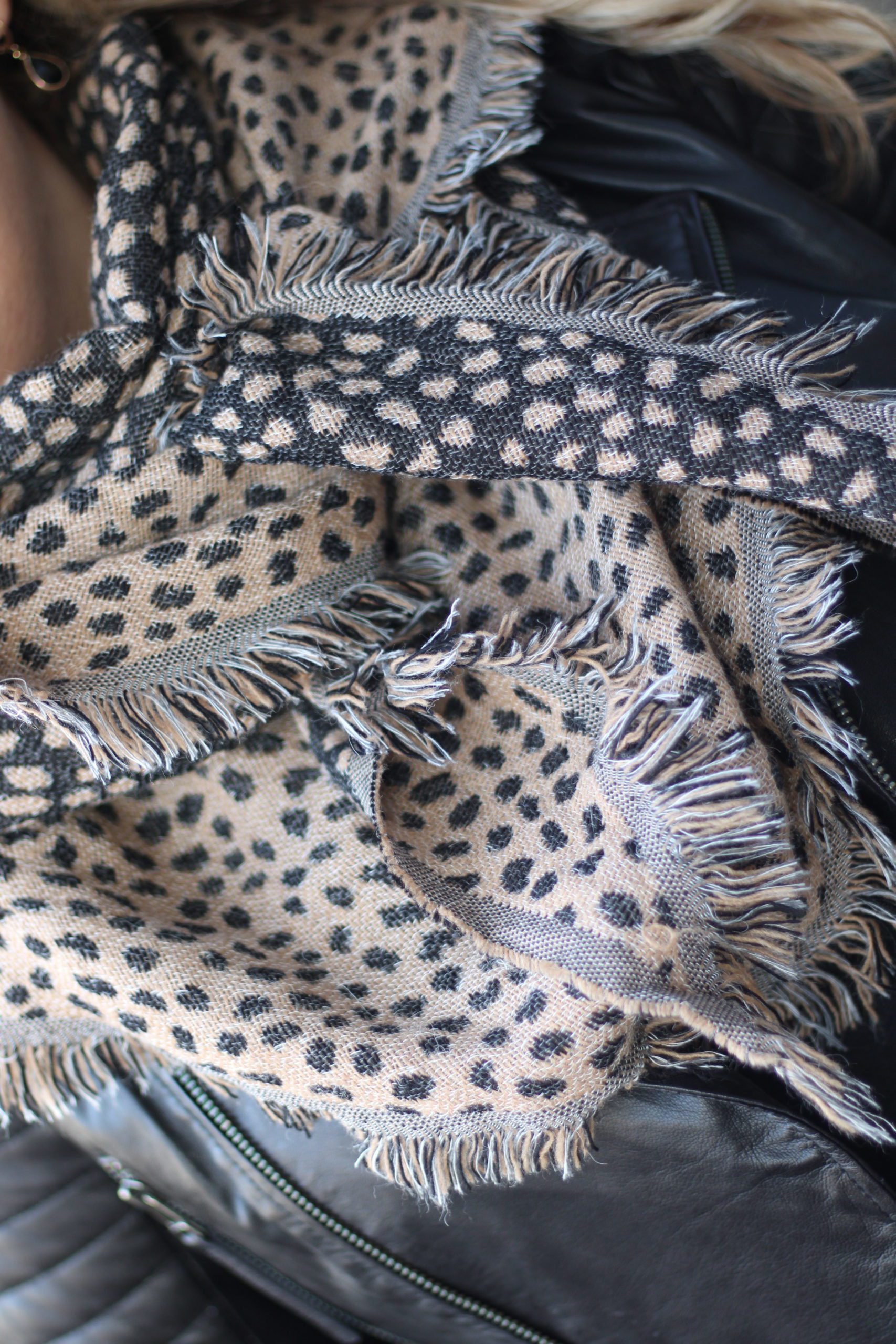 Cheryl Sjaal - Cheetah Camel