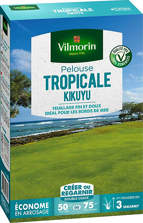 Gazon kikuyu Vilmorin 500g