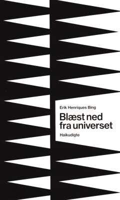 Blæst Ned Fra Universet - Erik Henriques Bing - Bog